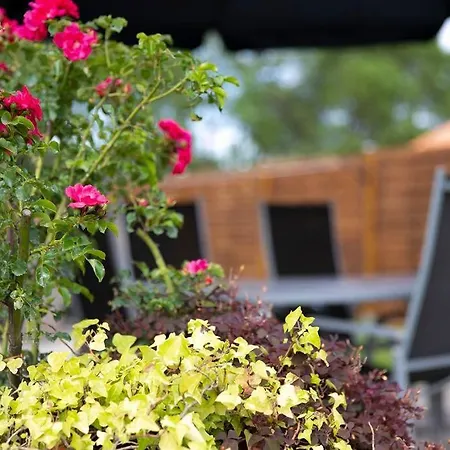 Maison Familiale Proche Du Feriehus Biscarrosse