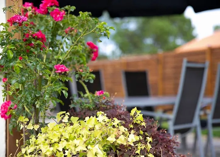 Maison Familiale Proche Du Casa de Férias Biscarrosse